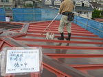 下塗り(サビ止め)